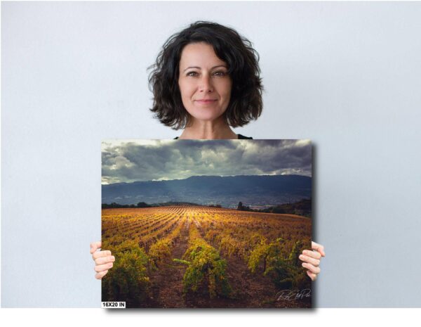 A woman holding up a picture of a field.