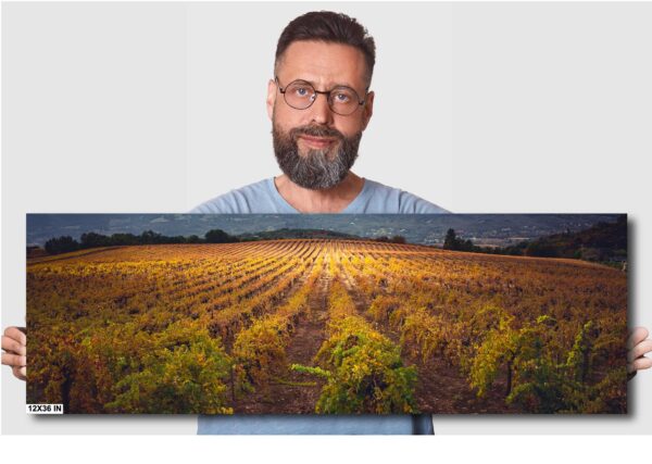 A man is standing in front of an image of a field.
