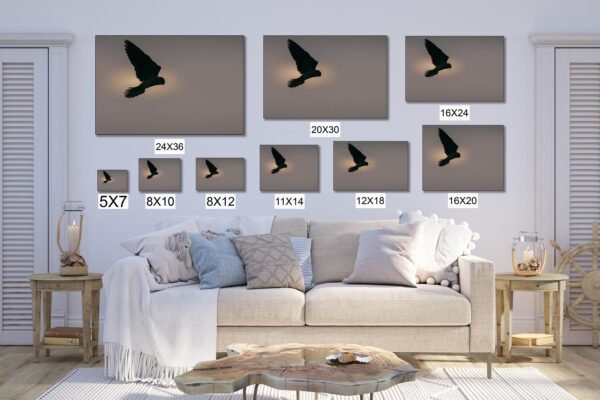 A living room with a couch and many pictures of birds flying