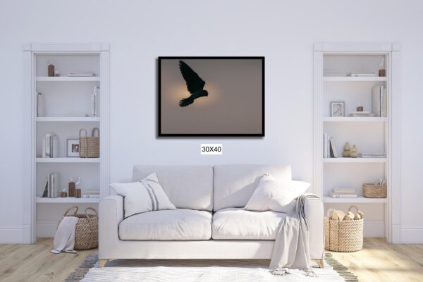 A bird flying in the sky with a light shining on it.