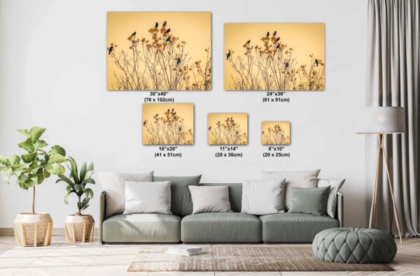 A living room with couch and pillows, and two pictures of flowers.