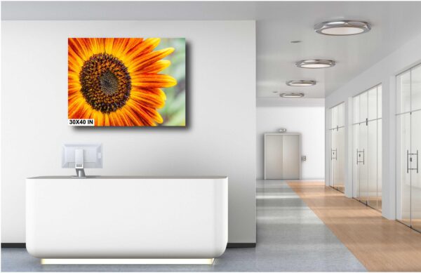 A large sunflower in the middle of a room.