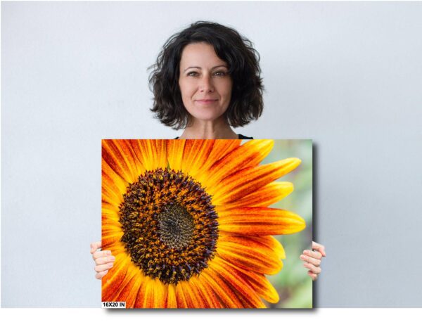 A woman holding up an orange sunflower.