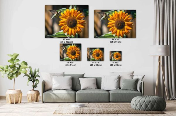 A living room with couch and pillows, and two pictures of sunflowers.