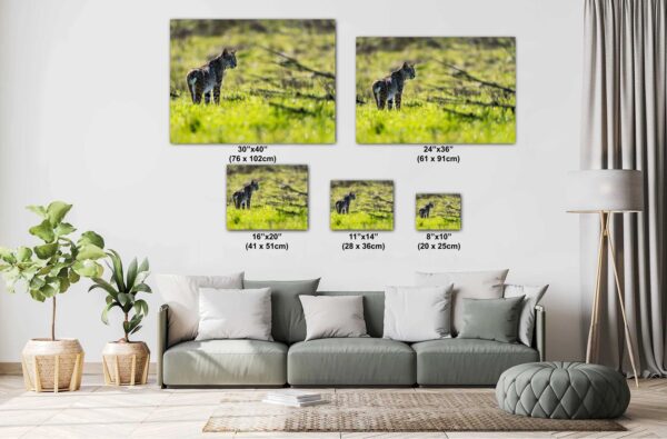 A couch with pillows and a picture of a horse.