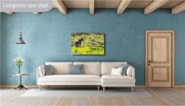 A living room with blue walls and white furniture.