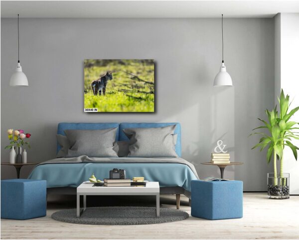 A bedroom with a bed and two blue ottomans