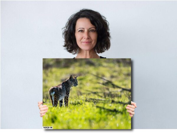 A woman holding up a picture of a zebra.