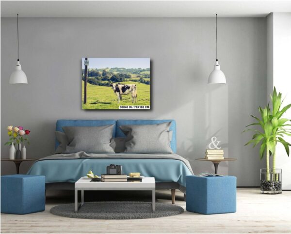 Sonoma County Wall Art – Curious Cow and Rolling Hills - Image 3