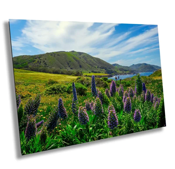 Purple wildflowers blooming along California’s Big Sur coastline with green hills, ocean waves, and a bright spring sky in the background.